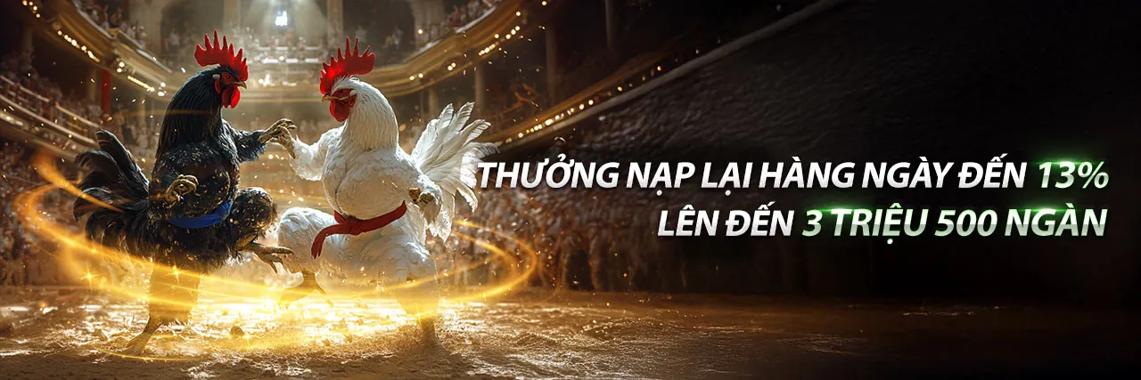 Đá gà ở Bình Dương – Sân đấu sôi động