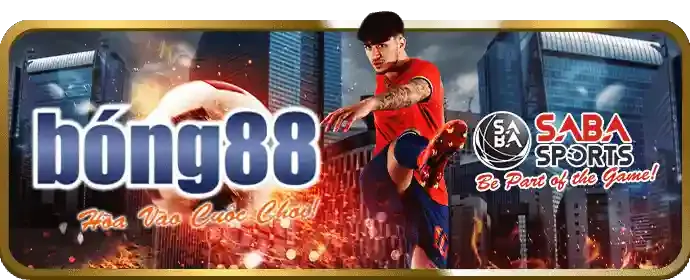 Phân tích kèo đá gà